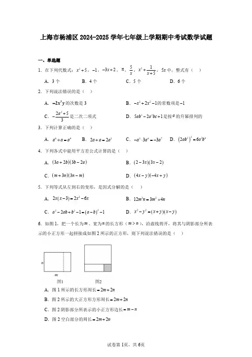 上海市杨浦区2024-2025学年七年级上学期期中考试数学试题