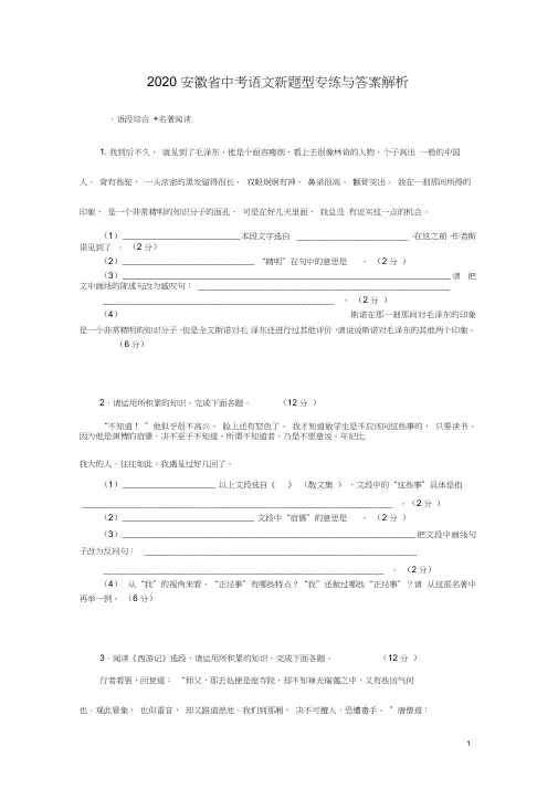 2020安徽省中考语文新题型专练与答案解析