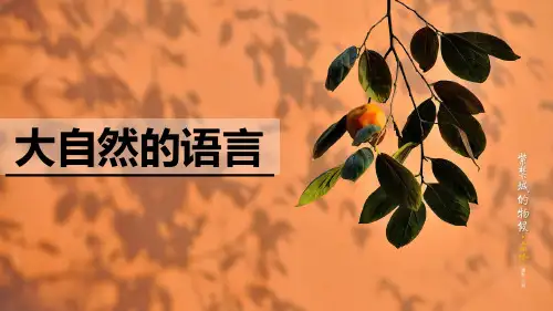 人教部编版八年级语文下册5《大自然的语言》课件附随堂练习及答案