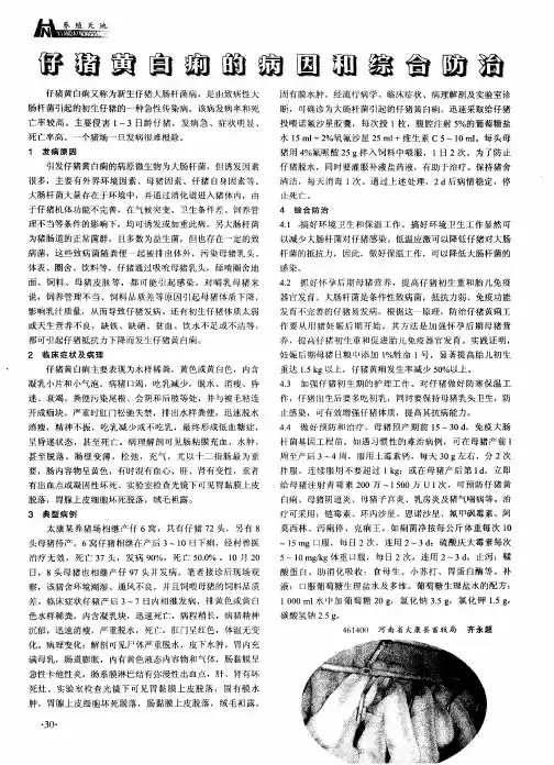 仔猪黄白痢的病因和综合防治