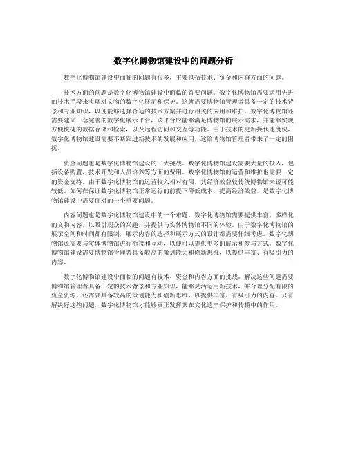 数字化博物馆建设中的问题分析