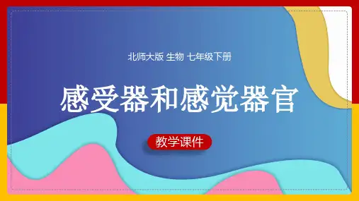 初中生物北师大版七年级下册《第2节感受器和感觉器官》课件