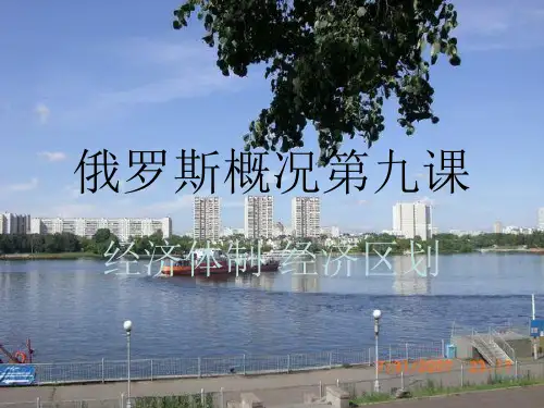 俄罗斯概况9-经济体制-经济区划