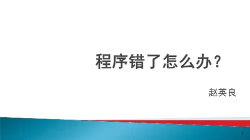 程序调试