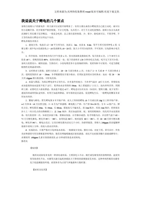 我说说关于鳄龟的几个要点