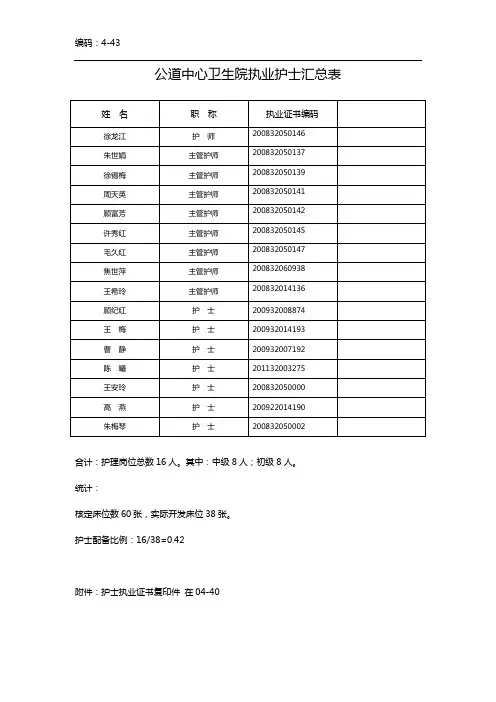 4-43 执业护士汇总表
