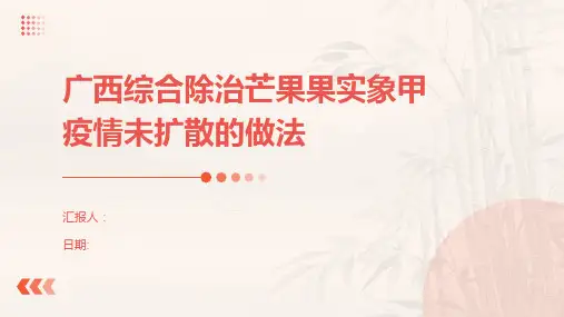 广西综合除治芒果果实象甲疫情未扩散的做法