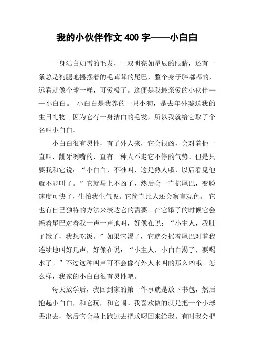 我的小伙伴作文400字——小白白
