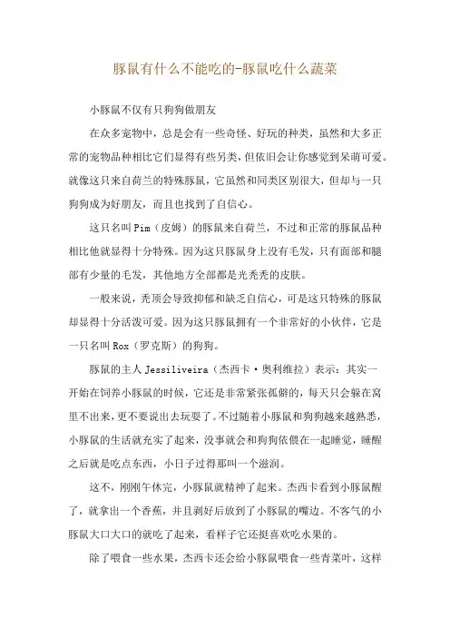 豚鼠有什么不能吃的-豚鼠吃什么蔬菜