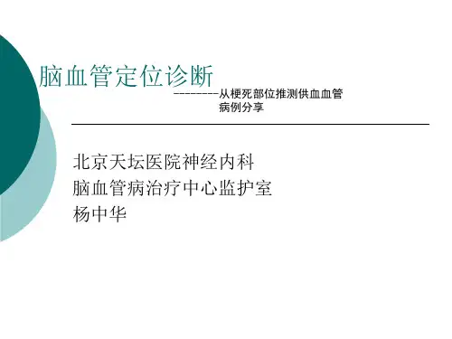 脑血管定位诊断