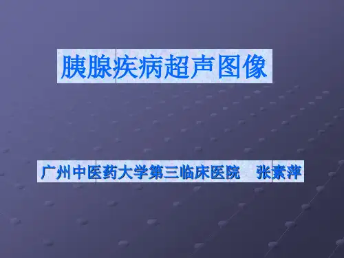 胰腺疾病超声图像