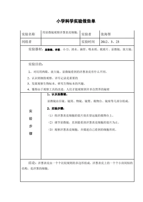六年级下册小学科学实验报告单