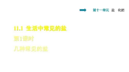 人教版化学九下11.1--生活中常见的盐 (共28张PPT)