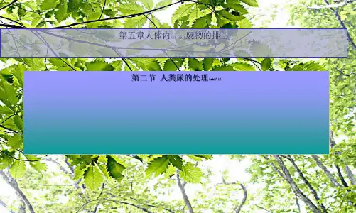 七年级生物《人粪尿的处理》课件