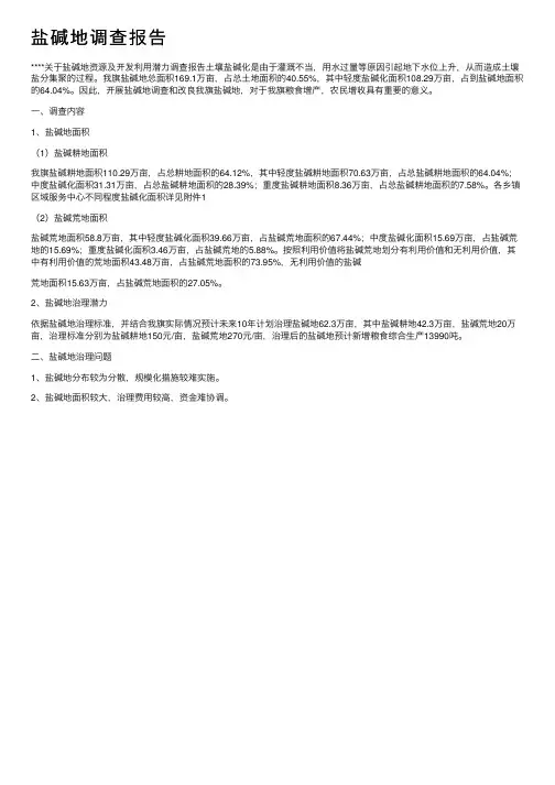 盐碱地调查报告