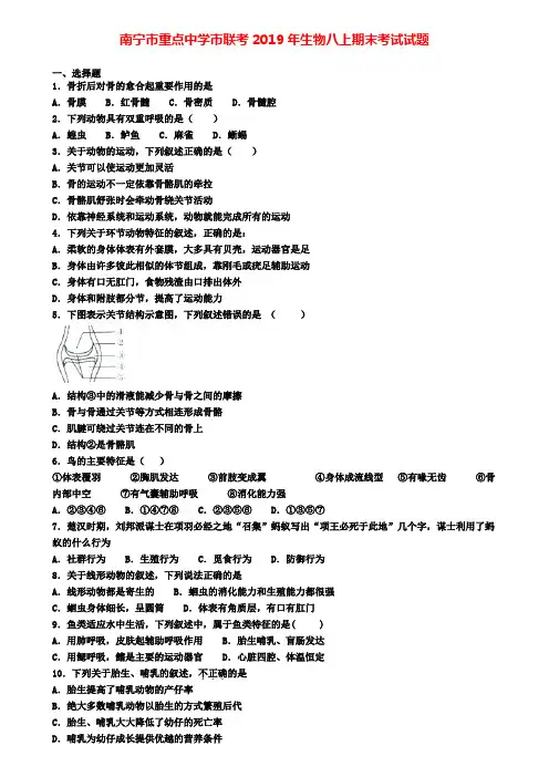 南宁市重点中学市联考2019年生物八上期末考试试题