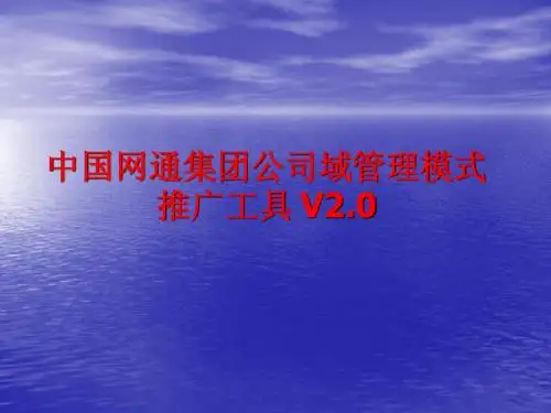 用户自己代域使用方法