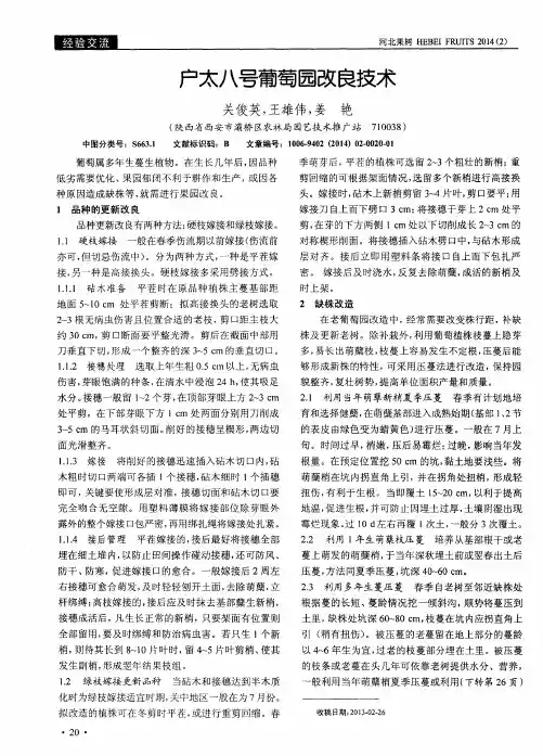 户太八号葡萄园改良技术