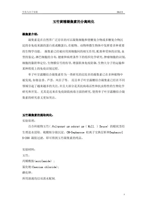 玉竹,黄精凝集素提取纯化