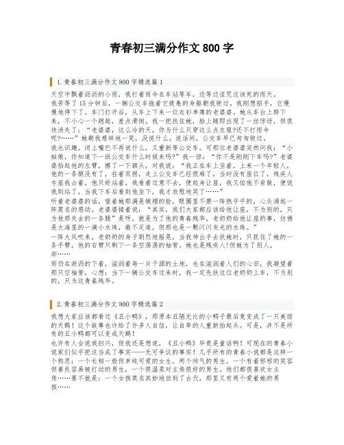 青春初三满分作文800字