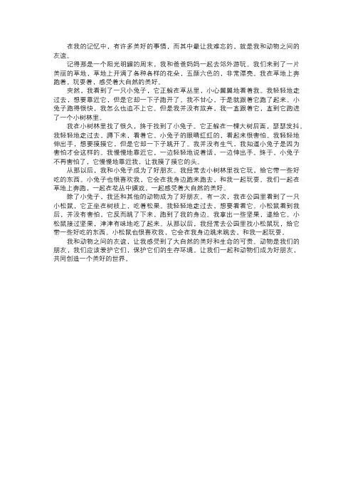 我和动物的友谊