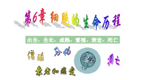 有丝分裂讲课用(精华版)ppt课件