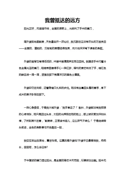 我曾抵达的远方作文600字初三 励志作文