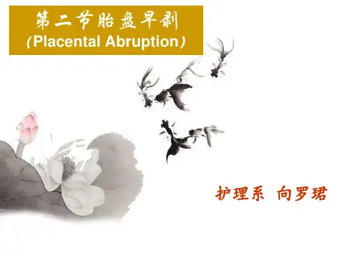 胎盘早剥.ppt 精品