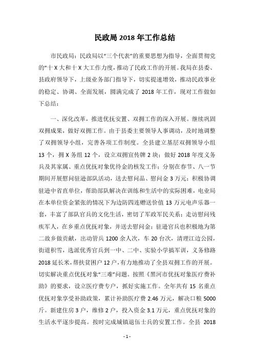 民政局2018年工作总结_1