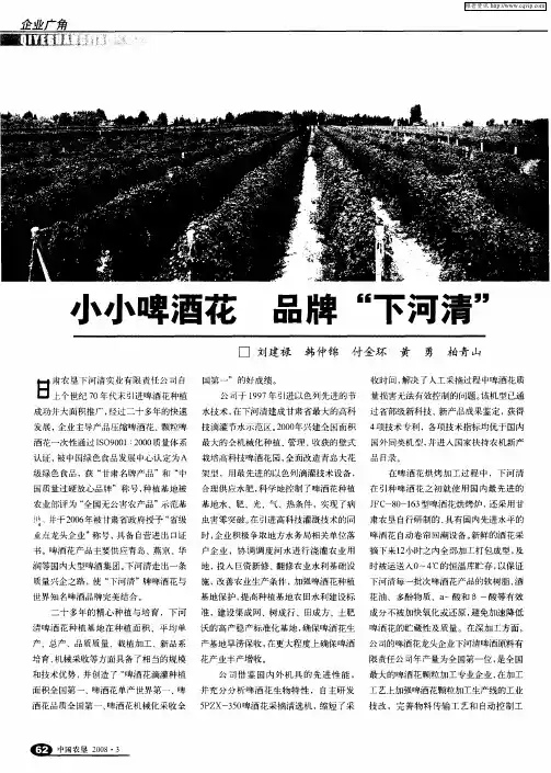 小小啤酒花 品牌“下河清”