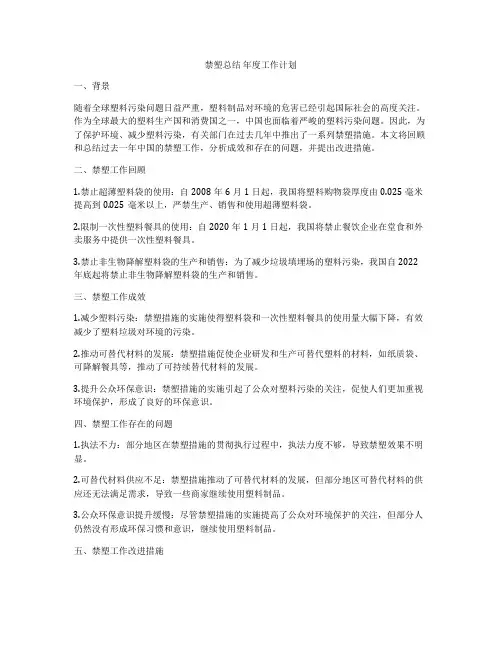 禁塑总结 年度工作计划