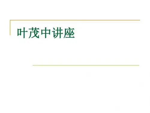 叶茂中讲座ppt课件