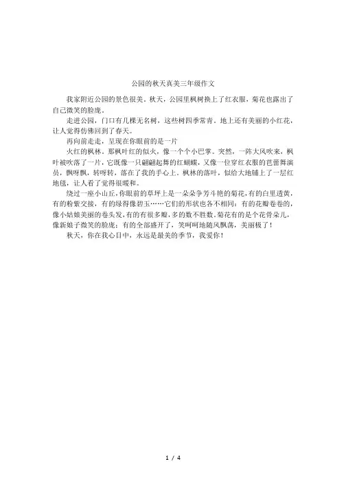 公园的秋天真美三年级作文