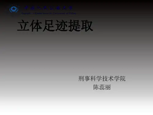 立体足迹提取