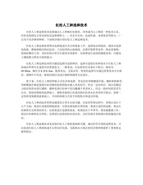 红松人工林造林技术