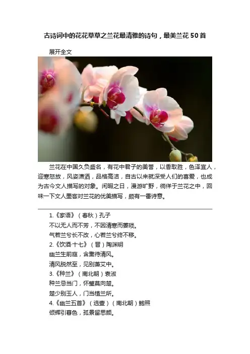 古诗词中的花花草草之兰花最清雅的诗句，最美兰花50首
