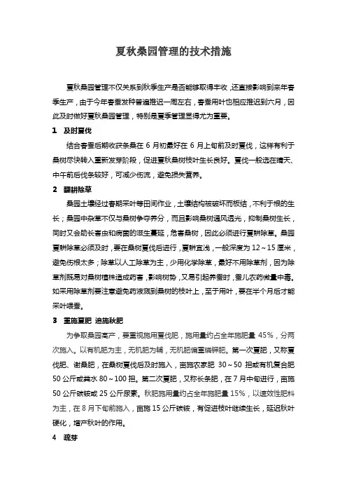 夏秋桑园管理的技术措施