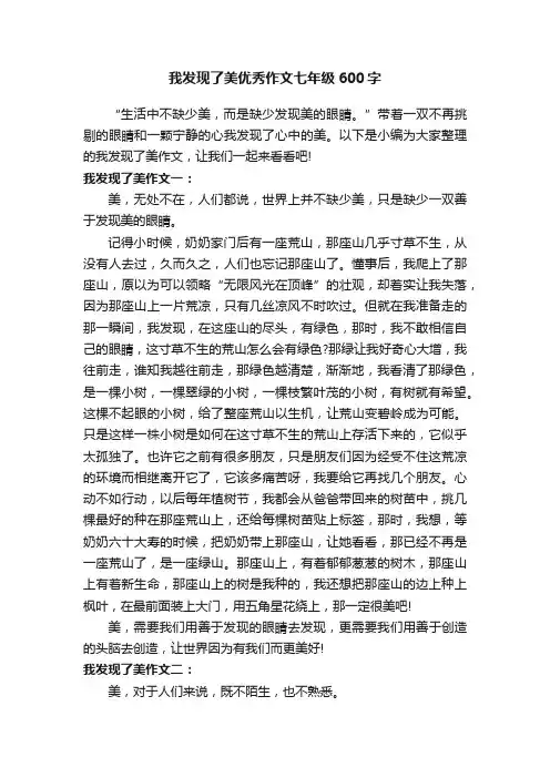我发现了美优秀作文七年级600字
