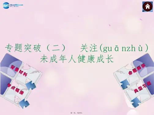 中考政治总复习 专题突破(二) 关注未成年人健康成长课件 教科版