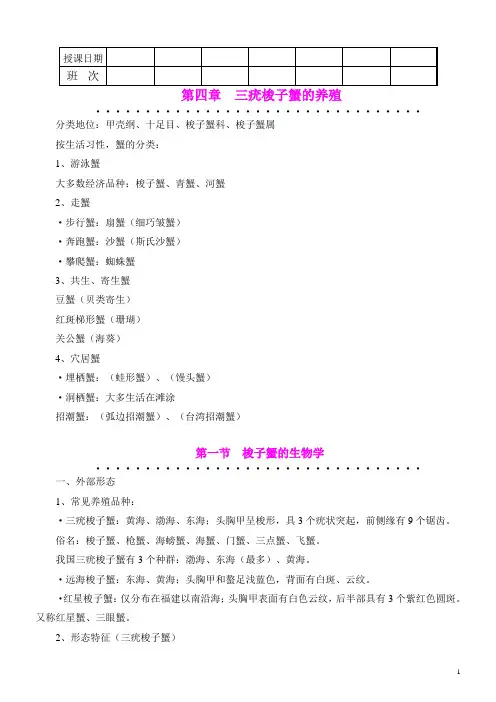 三疣梭子蟹的养殖