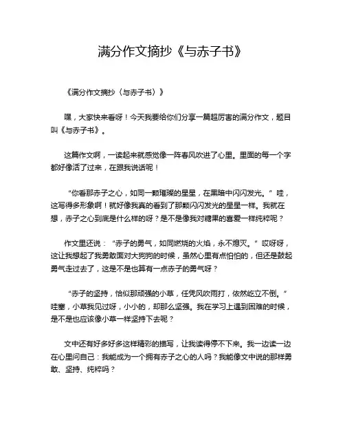 满分作文摘抄《与赤子书》