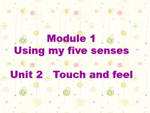牛津深圳版英语二年级下册《Unit 2 Touch and feel》课件