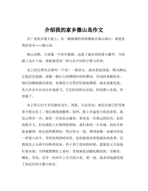 介绍我的家乡微山岛作文