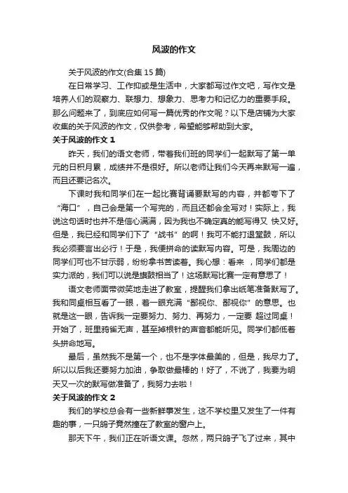 风波的作文