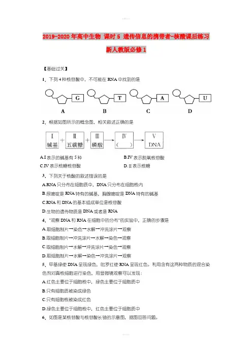 2019-2020年高中生物 课时5 遗传信息的携带者-核酸课后练习 新人教版必修1