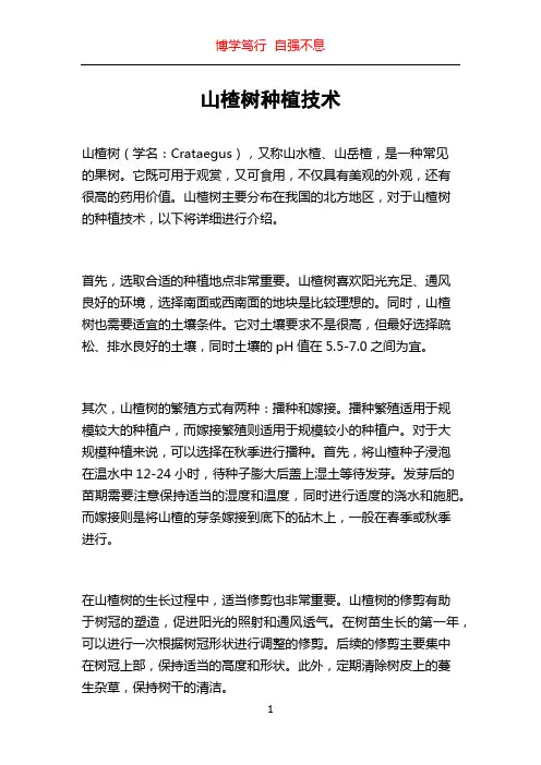 山楂树种植技术
