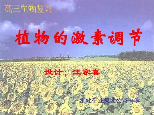 (2019版)植物激素调节复习课件