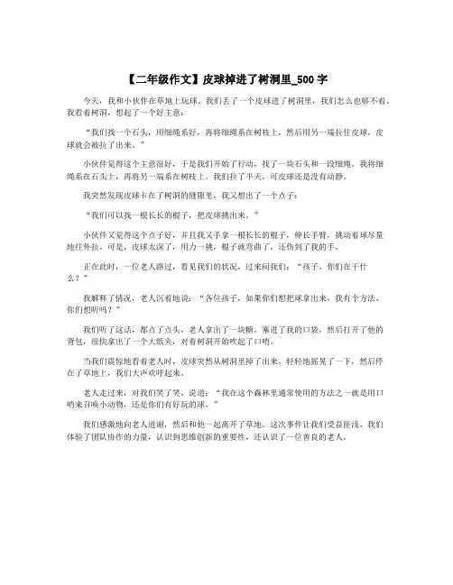 【二年级作文】皮球掉进了树洞里_500字