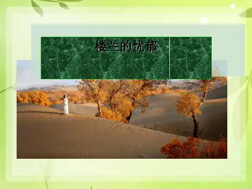 《楼兰的忧郁》PPT课件(上课用)