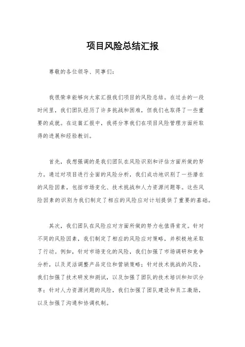 项目风险总结汇报